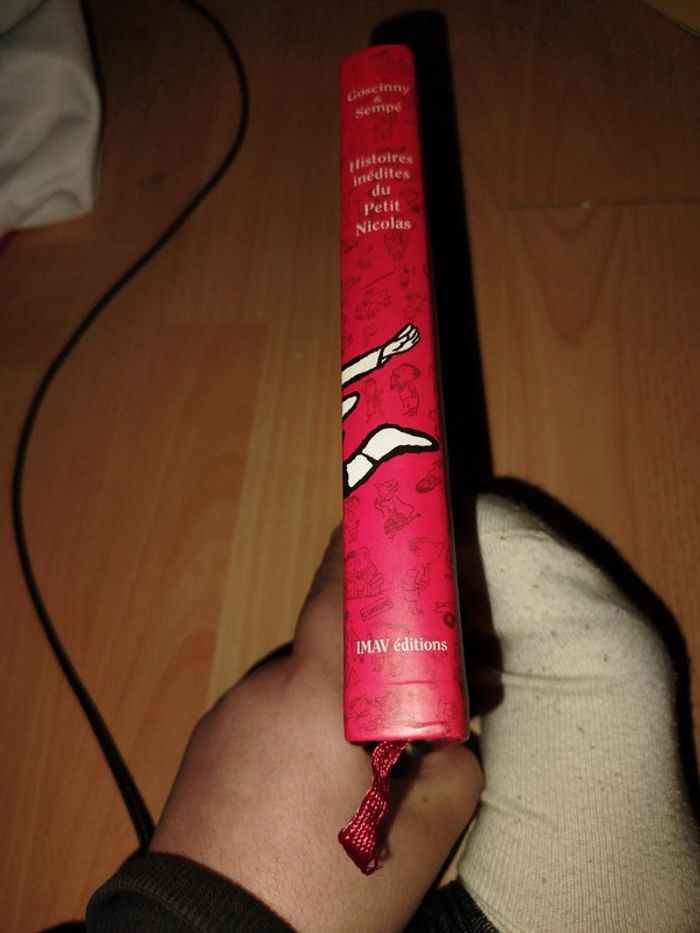 Aventure du Petit Nicolas - photo numéro 2