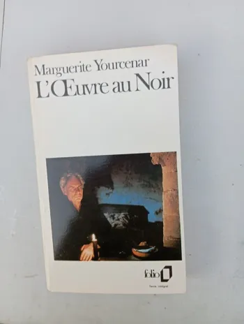 Livre L'oeuvre au noir 
