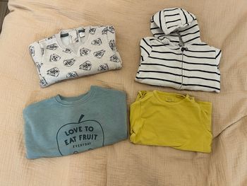 Lot de sweats et t-shirt -24 mois 