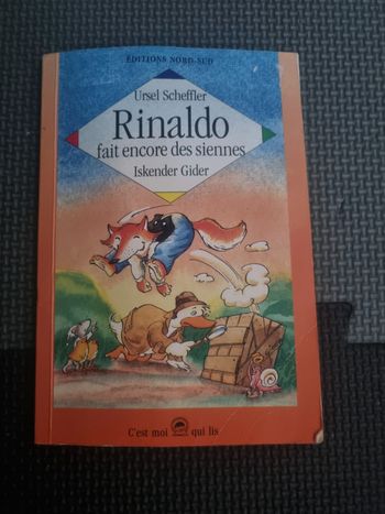 Livre enfant Rinaldo fait encore des siennes