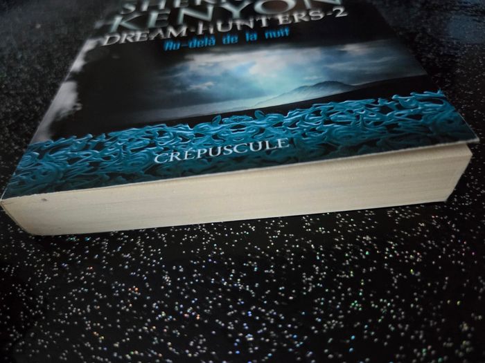 Livre de poche dream hunters tome 2 - photo numéro 4