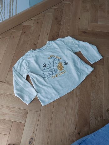Pull Disney Orchestra