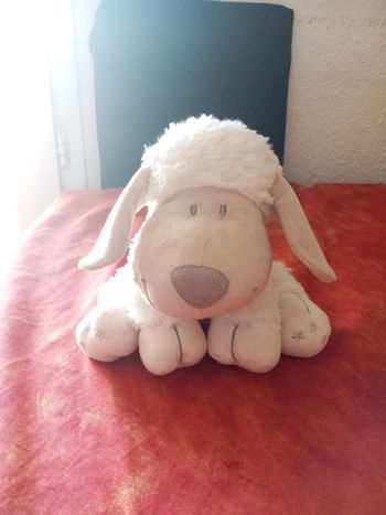 Mouton blanc Nicotoy