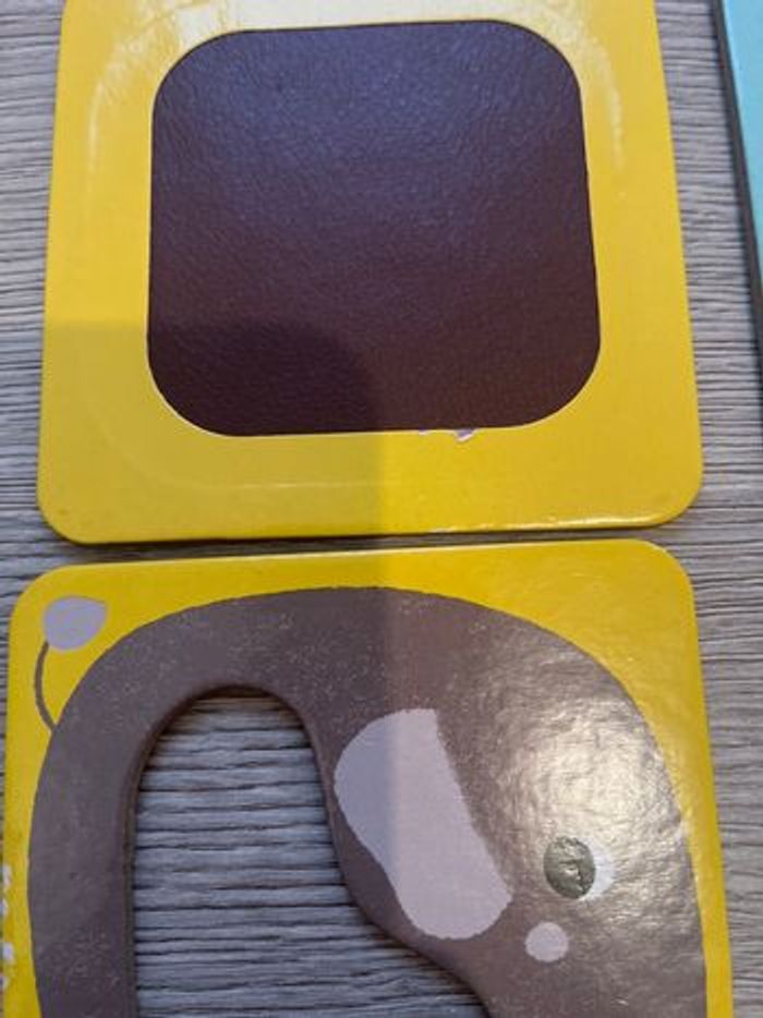 Les animaux à toucher - photo numéro 3