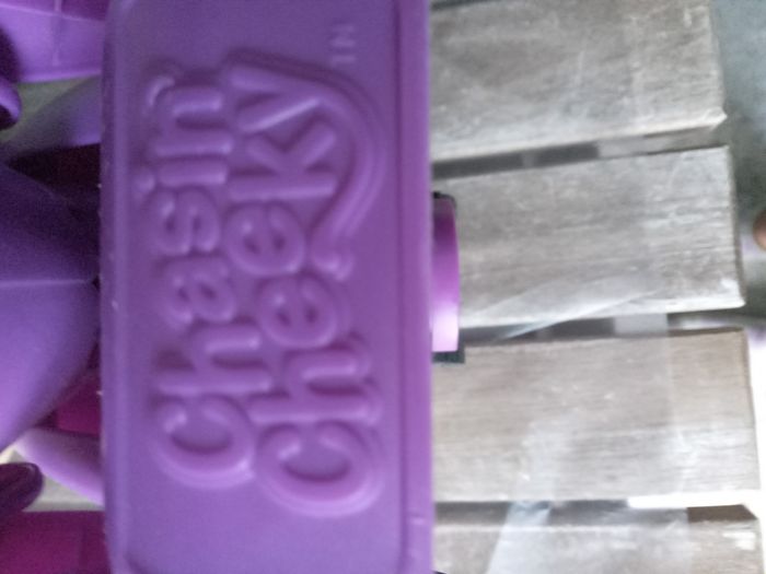 Chasin'Cheeky Hasbro - photo numéro 3