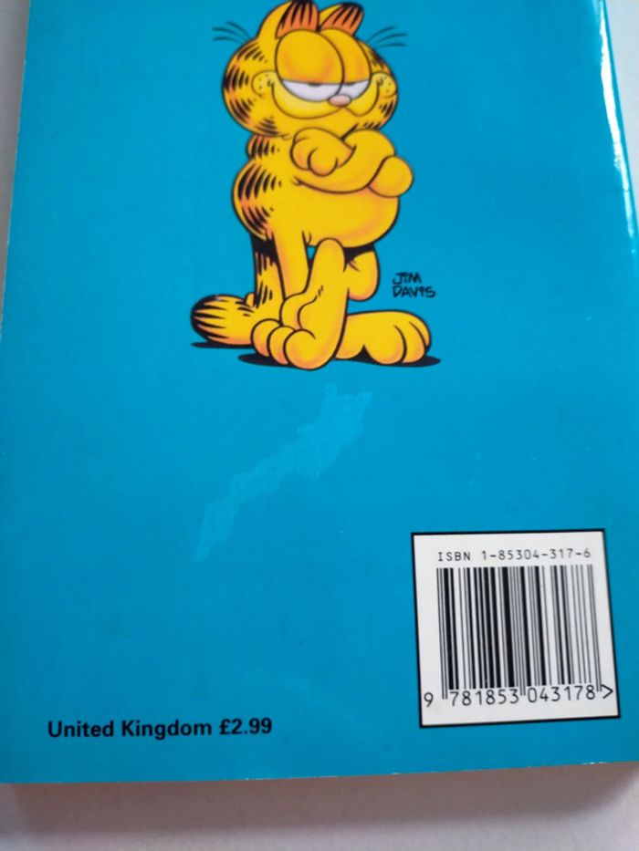 Garfield wave rebel - photo numéro 3