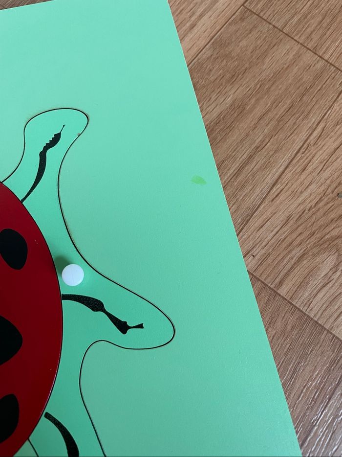 Puzzle Zoologie Montessori : la coccinelle - photo numéro 4