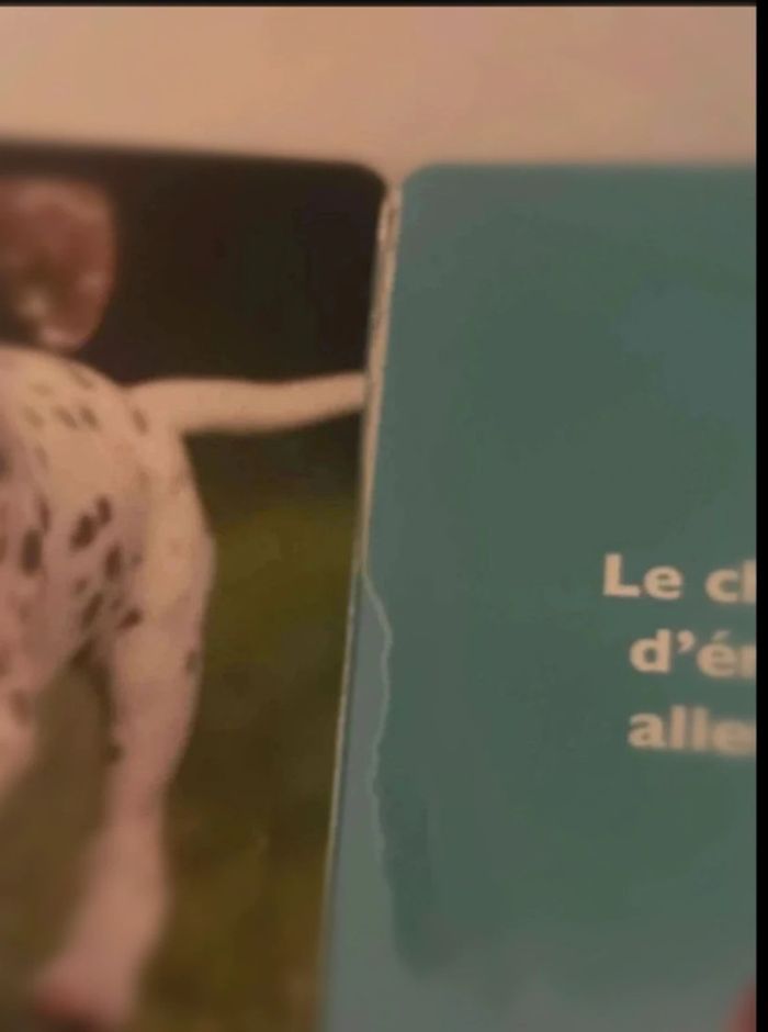 Livre les  animaux  de  compagnie - photo numéro 5