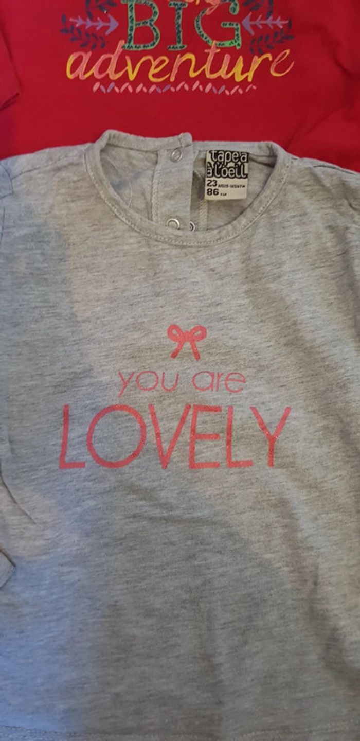 Lot quatre tshirts manches longues 2 ans - photo numéro 3