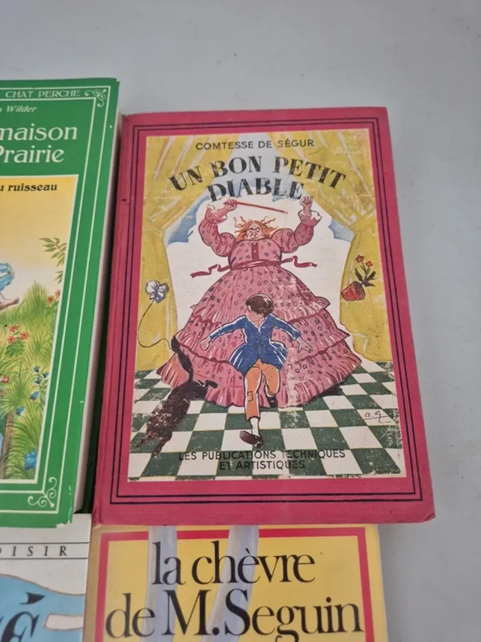 6 livres jeunesse pour 1 euro seulement - photo numéro 4