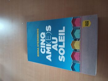 LIVRE CINQ AMIES AU SOLEIL DE EMMA STERNBERG