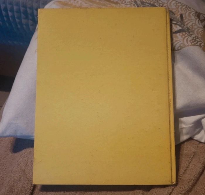 Toreros dans l'arène - photo numéro 2