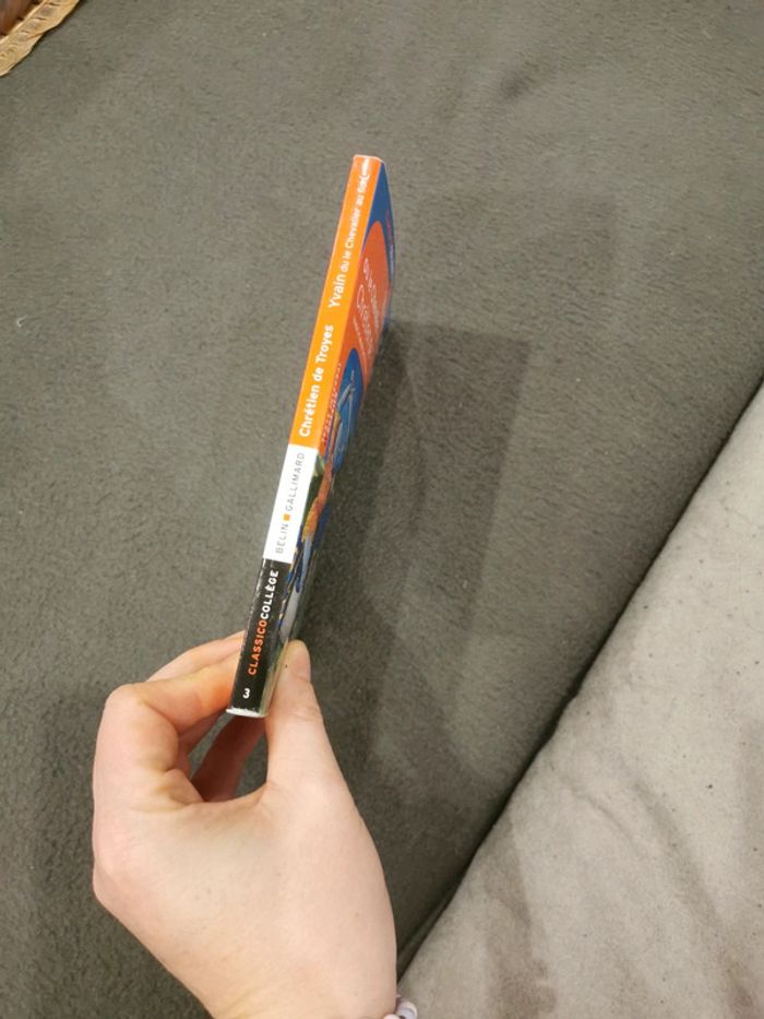 Yvain ou le chevalier au lion - photo numéro 2