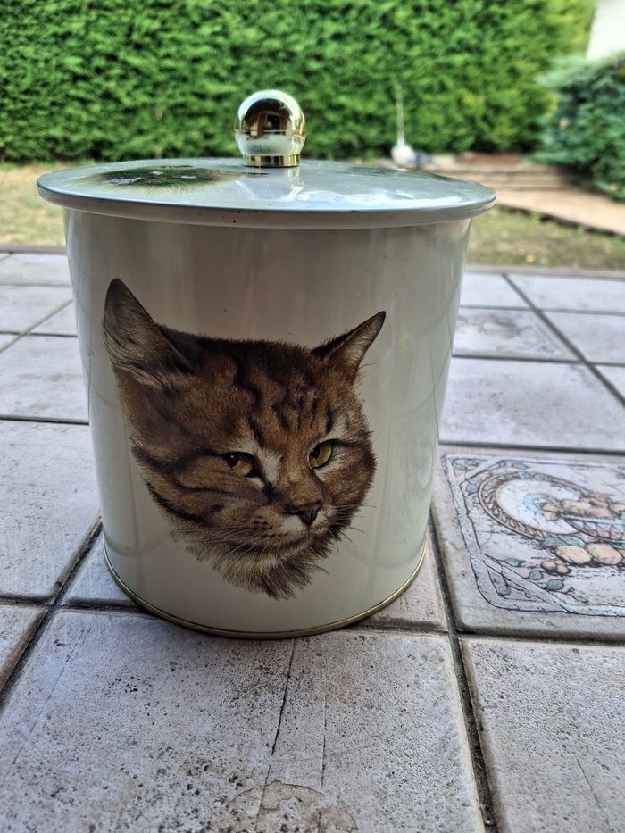 Boîte aluminium chat - photo numéro 8