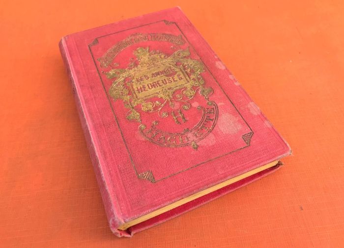 Bibliothèque Rose Illustrée Mme Denise Aubert Les années heureuses (1920) - photo numéro 10