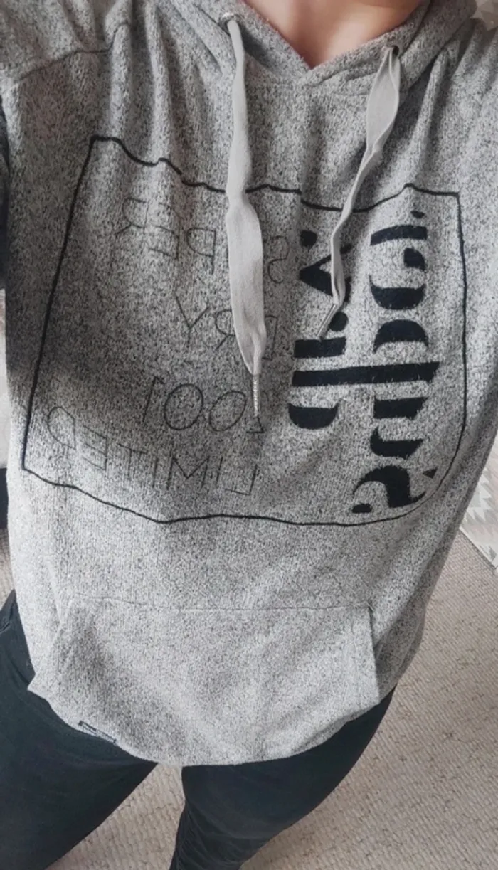 Pull Sweat à capuche Superdry gris 36 - photo numéro 3