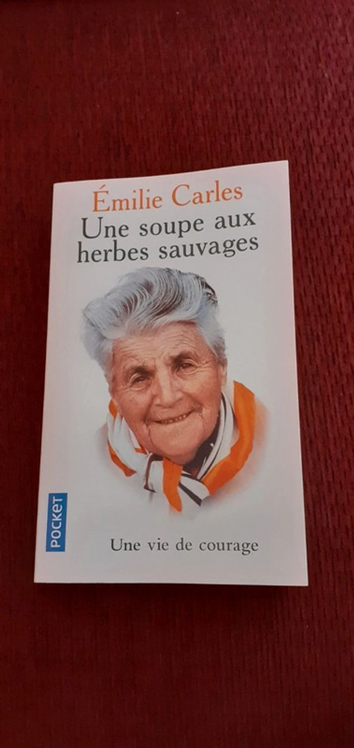 Livre une soupe aux herbes sauvages