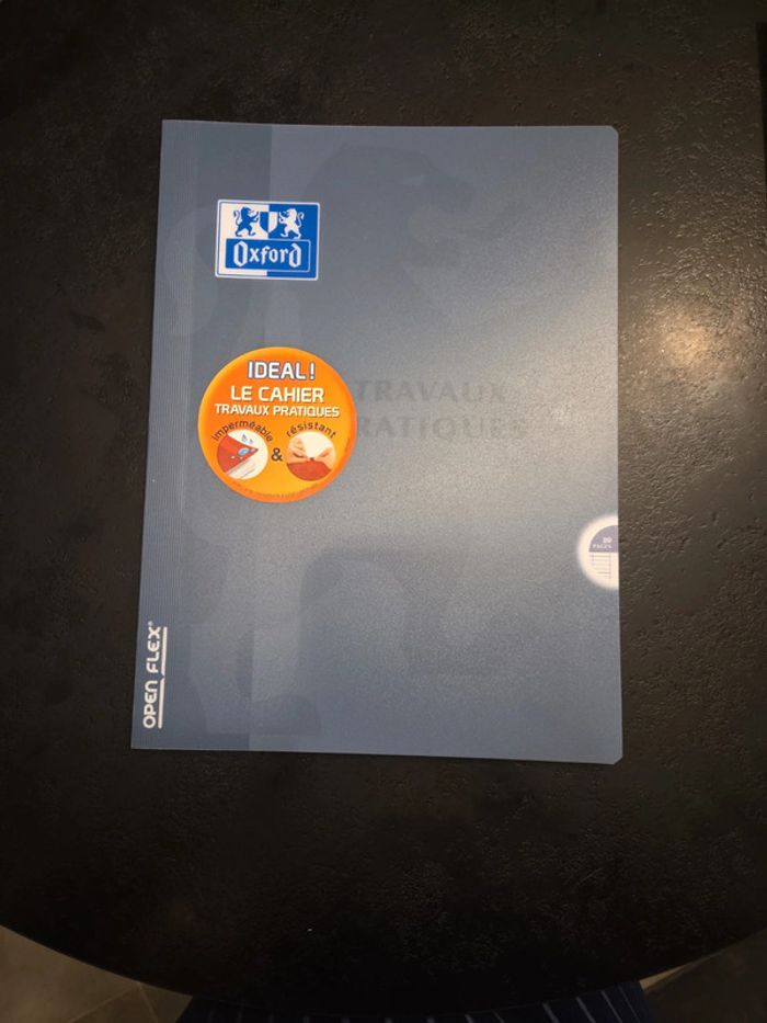 Cahier Traveaux Pratique Oxford