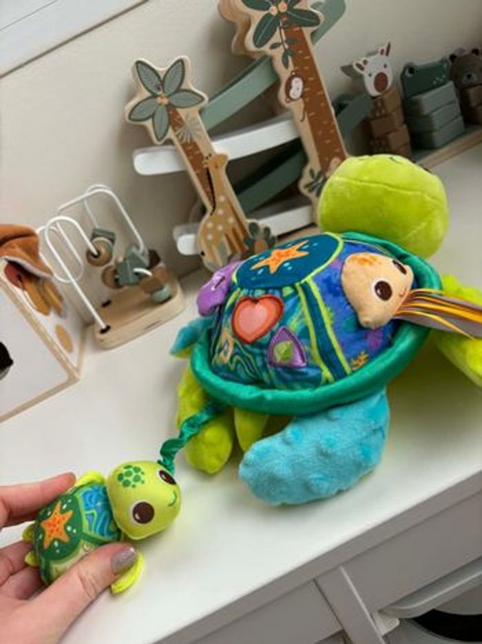 Juju la tortue - photo numéro 3