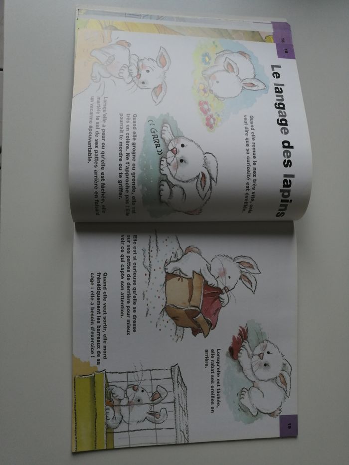 peluche et livre lapin - photo numéro 6