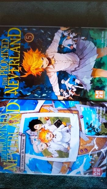 2 Livres ' promised Neverland '