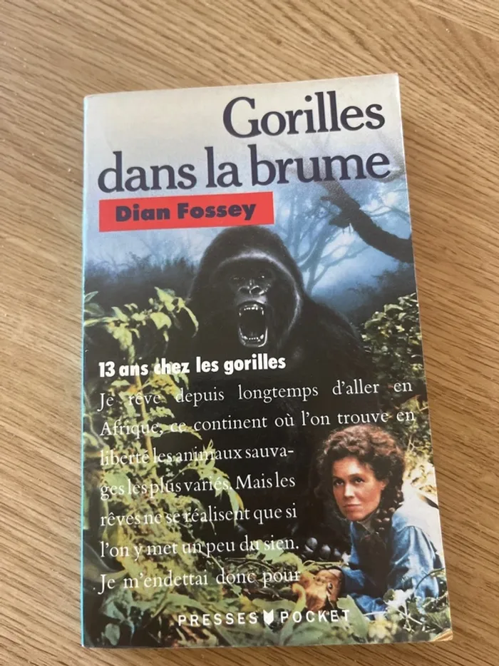 Gorilles dans la brume