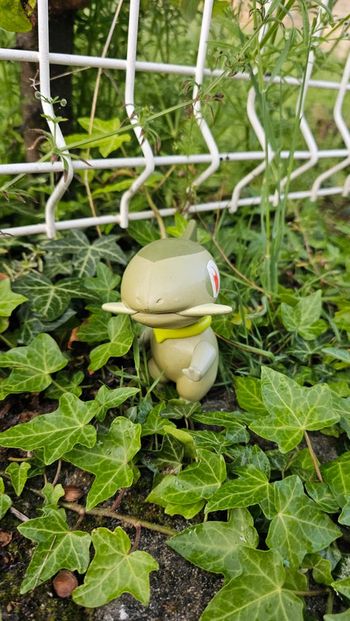 Super grande figurine Pokemon Nintendo coupenotte