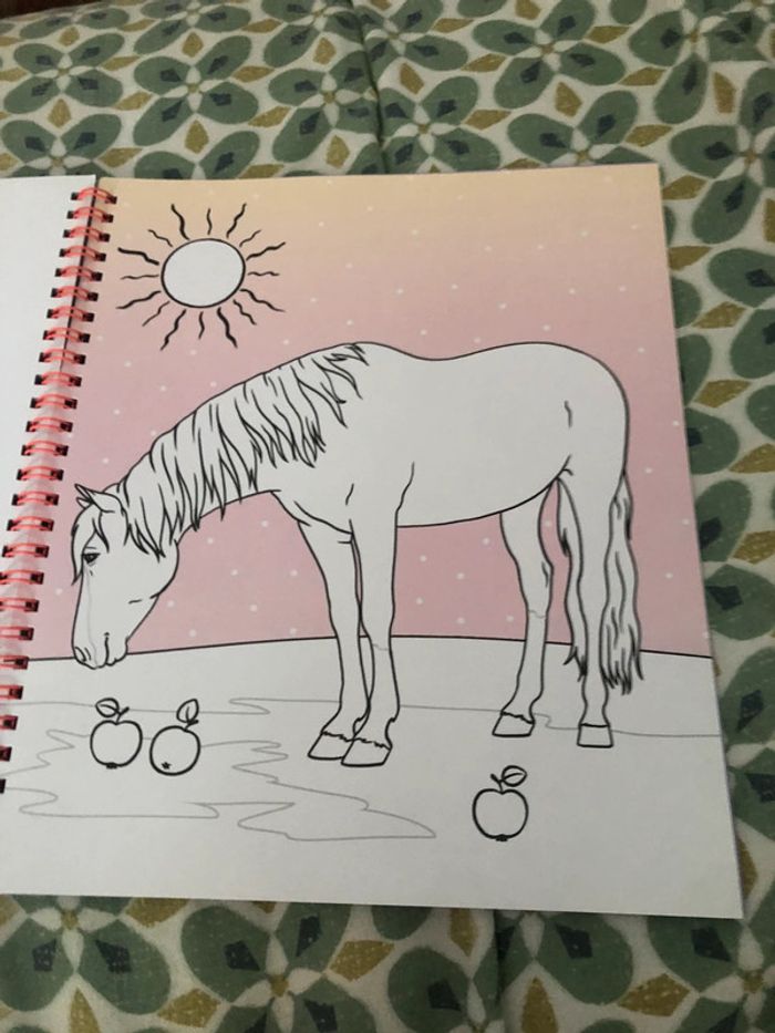 Livre de coloriage miss Mélody - photo numéro 9