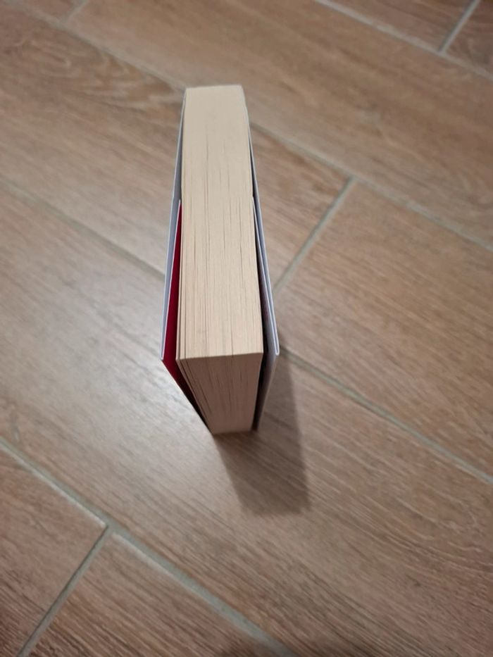 Livre de poche Scandale de L.J Shen - photo numéro 4