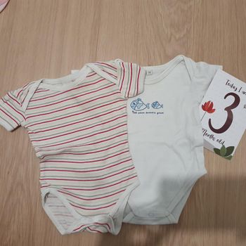 Lot de 2 bodies manche courte taille 3 mois