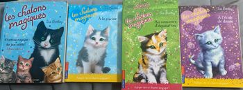 livres les chatons magiques