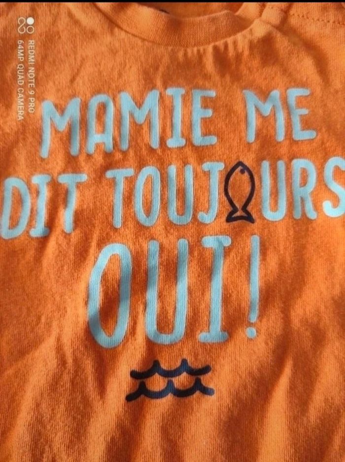 Tee-shirt manches courtes Z Grain de ble 9 mois 71 cm - photo numéro 2