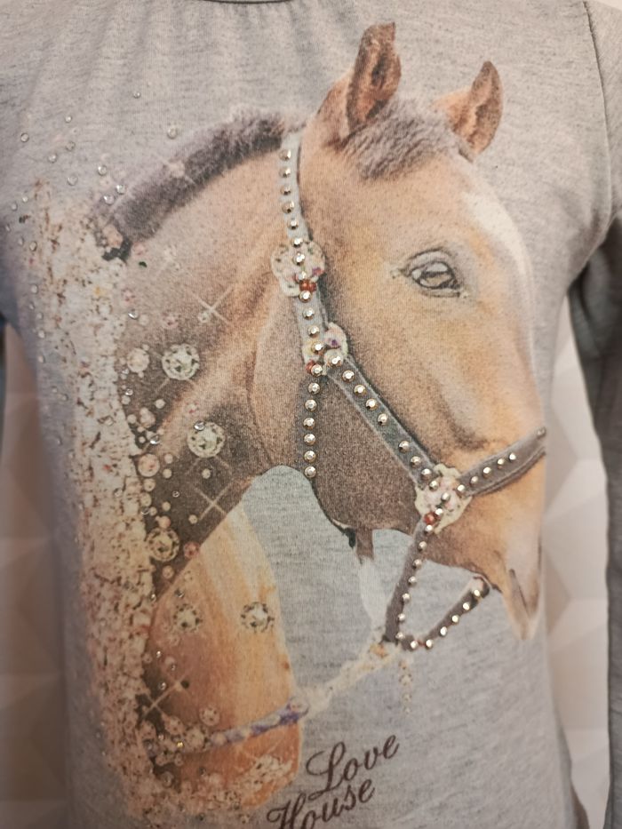 Tee-shirt thème équitation - photo numéro 2