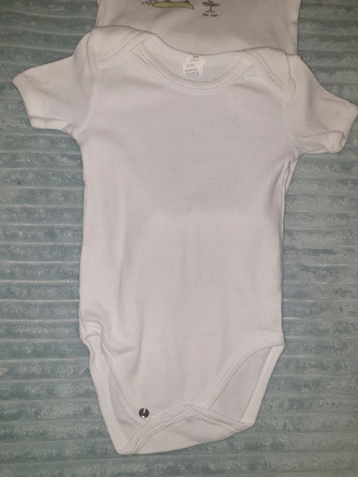 Lot de 2 bodys - photo numéro 2