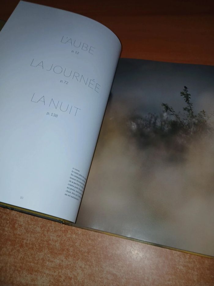 La nature à 200m de chez moi - photo numéro 7