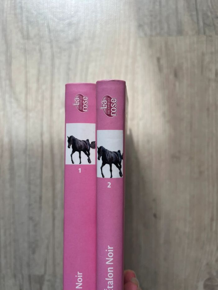 Lot de 2 tome de L’étalon noir - photo numéro 3
