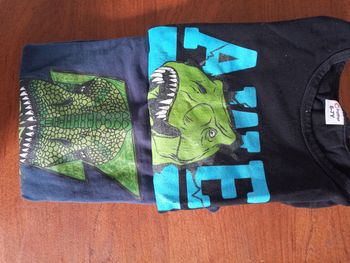 Tee-shirt dinosaure manche longue bonne etat