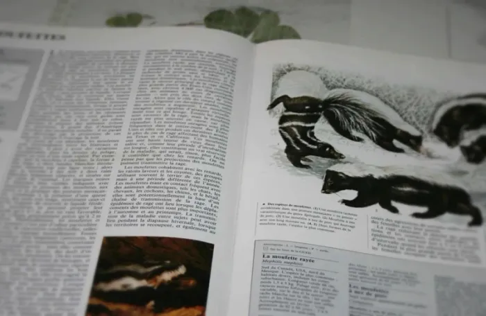 livre - photo numéro 3