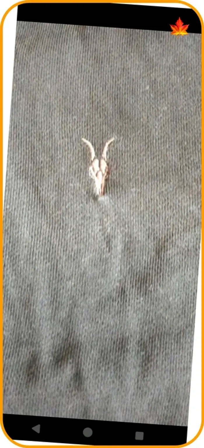 Sweat à capuche zippé Allsaints homme S - photo numéro 9