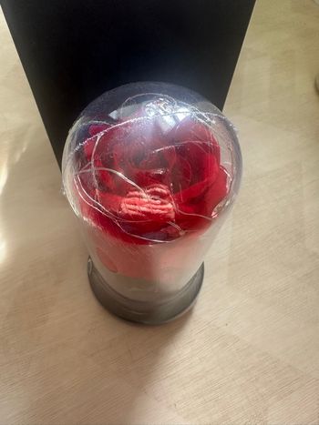 Rose éternelle 