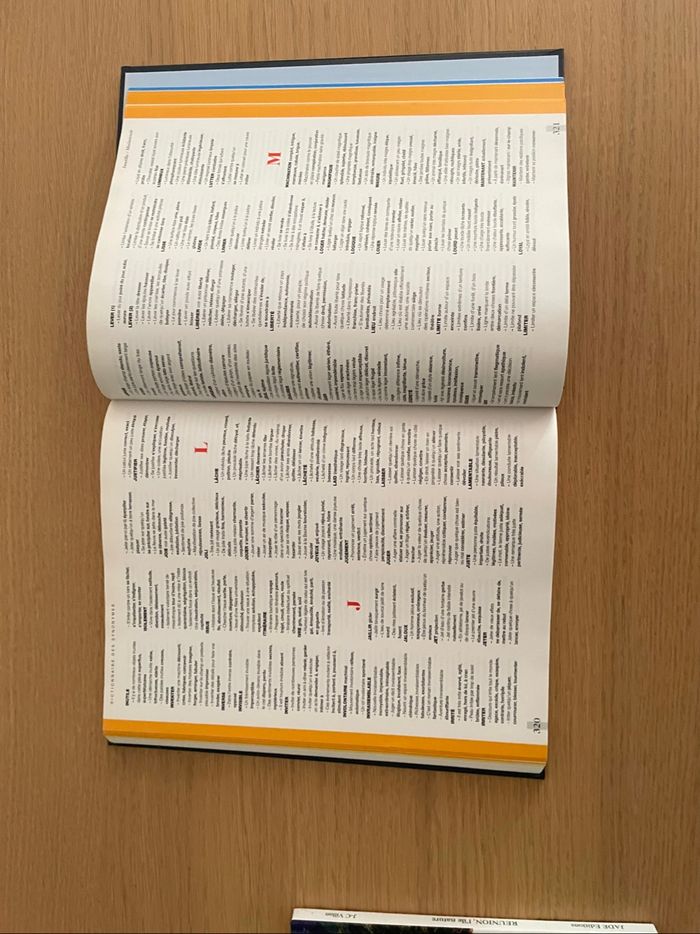 🌟 Guide Français - photo numéro 4