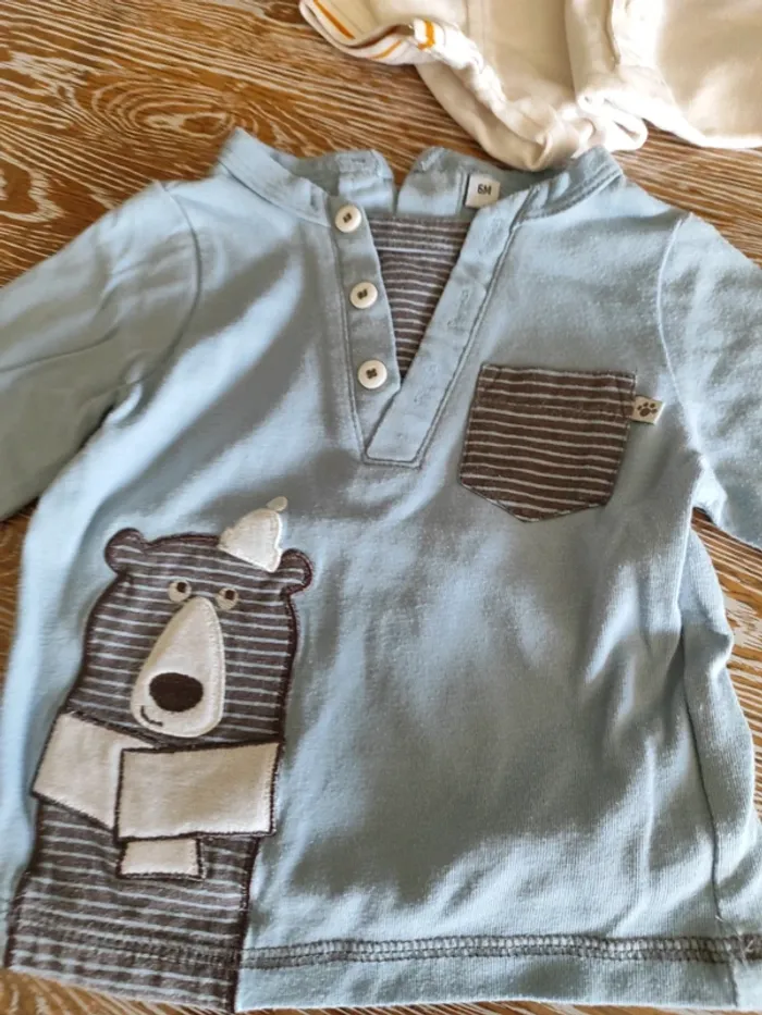 🍁 lot de 10 teeshirts manches longues taille 6 mois🍁 - photo numéro 3