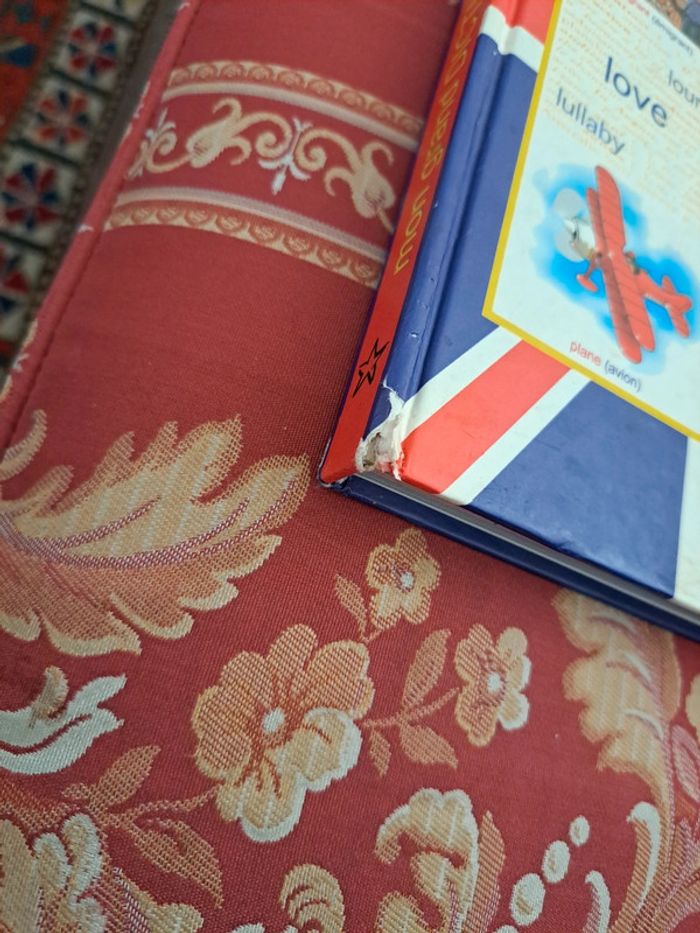 Grand dictionnaire d'anglais - photo numéro 3