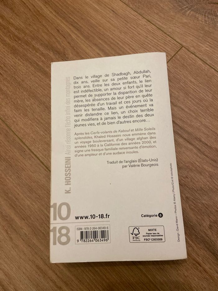 Khaled hosseini ainsi résonne l’écho infini des montagnes - photo numéro 2