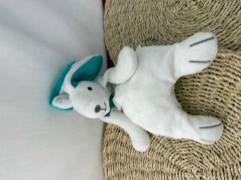 Doudou semi plat lapin blanc vert AUBY ALPHA