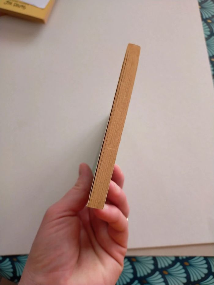 Garfield here we go again - photo numéro 5