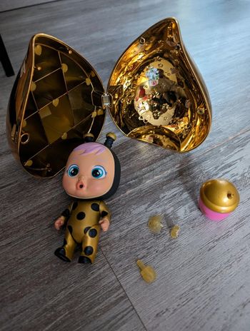 Cry babies or coccinelle