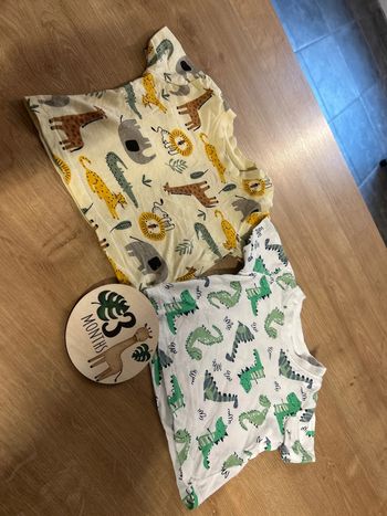 Lot de 2 TShirt
