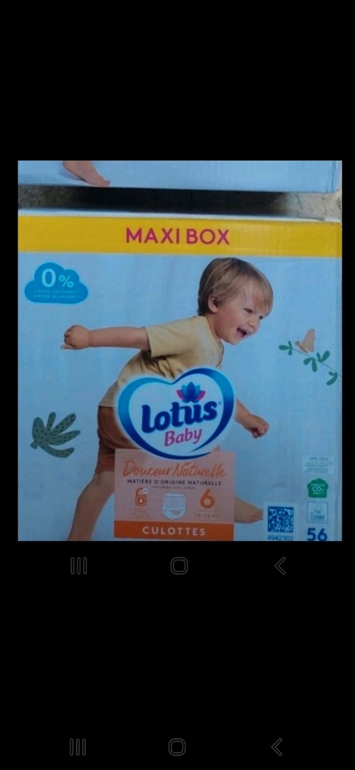 Maxi box 56 couches culottes lotus