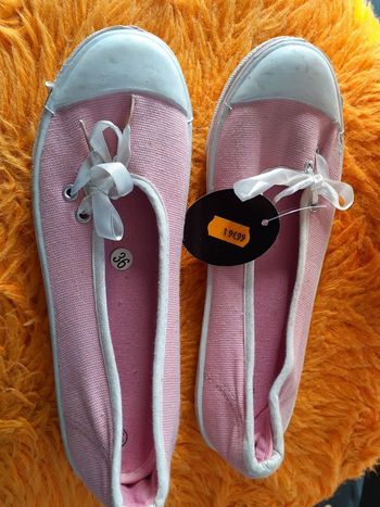 Ballerines en toiles neuves